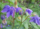 DSCN1134
