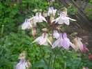 DSCN1137
