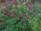 DSCN1142