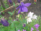 DSCN1143