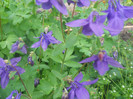 DSCN1145
