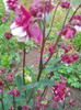 DSCN1146