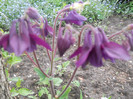 DSCN1152
