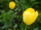DSCN1138