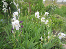 DSCN1154