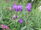DSCN1155