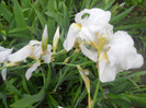 DSCN1156