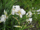 DSCN1157