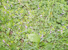 PICT0071