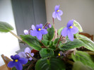 DSC00871