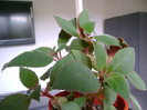 DSC00876