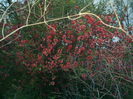 IMAG0109