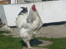 P1170336