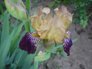 016