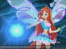 bloom-winx-club-bloom-and-stella-9149153-640-480