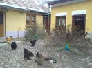 DSC02267
