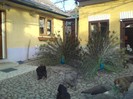 DSC02297