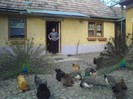 DSC02308