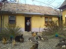 DSC02309