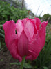 DSCF3272