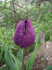 DSCF3274