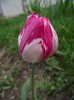 DSCF3279