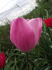 DSCF3281b