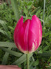 DSCF3281c