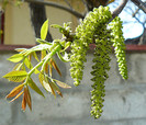 P1350809