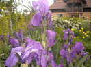 DSCN1008