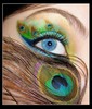 makeup_colors_eye_feather_make_up_peacock-c1e58f39a2bb68de453740b0766c3a22_h_large