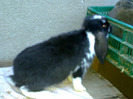 Picture 062