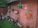 DSCN5216