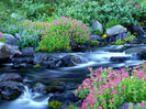 3d_flower_wallpaper_Spring_Flower_Wallpaper_2