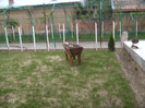 BILD1721
