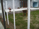 BILD1747