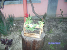 BILD4364