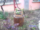 BILD4380