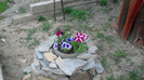 CIMG0817