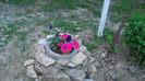 CIMG0820