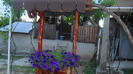 CIMG0831