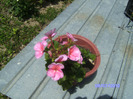 BILD5882