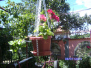 BILD5892