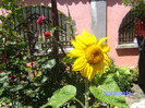 BILD5910