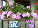 BILD5978