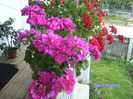 BILD5981