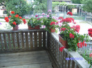 BILD5982