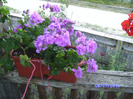 BILD5983