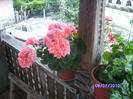 BILD5984