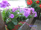 BILD5986